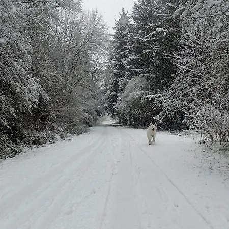 Des 3 Fontaines Holiday home