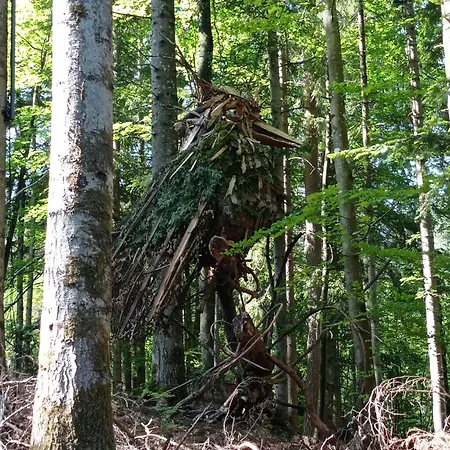 Des 3 Fontaines Holiday home *