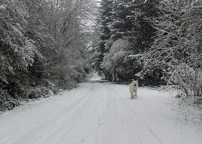 Des 3 Fontaines Holiday home