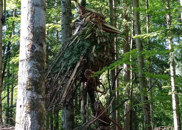 Des 3 Fontaines Holiday home *